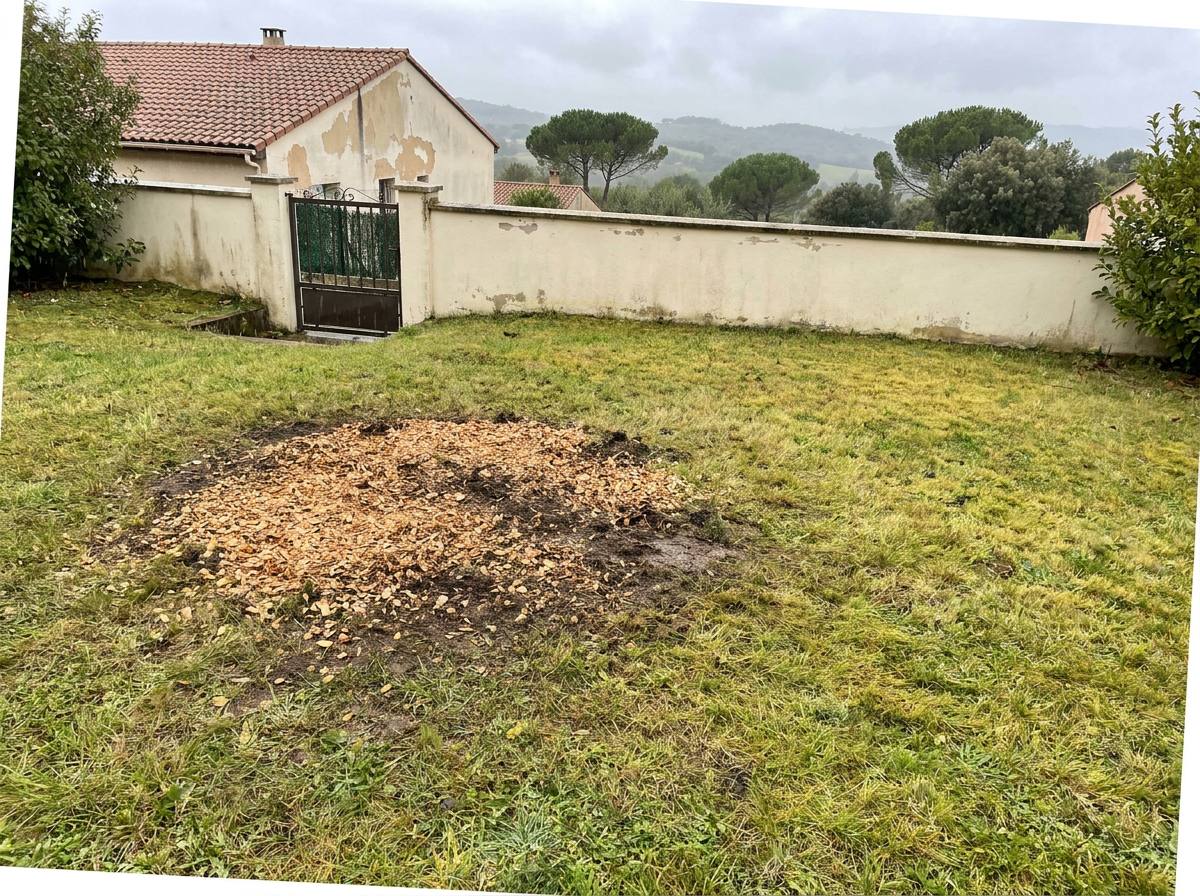 Dessouchage : après les travaux