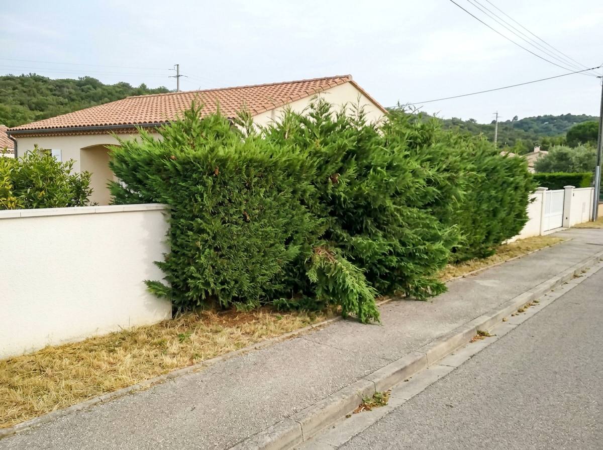 Taille de haies : avant les travaux